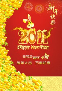 HAPPY 2011.jpg